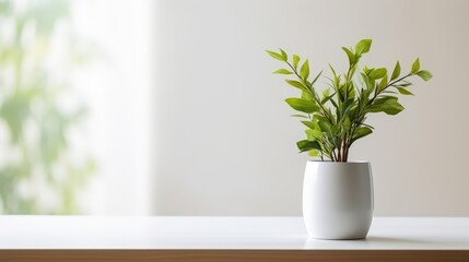 Fototapeta premium Elegant Small Green Plant in Minimalist White Pot on Wooden Table with Soft Natural Background Lighting for Interior Showcase and Product Photography