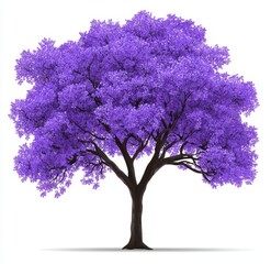 Fototapeta premium Isolated vibrant purple tree against white background