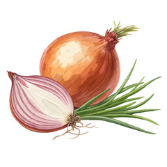 onions and onion