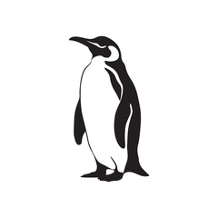 Obraz premium penguin vector silhouette design isolated on white background