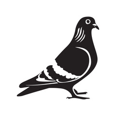 Fototapeta premium pigeon vector silhouette design isolated on white background