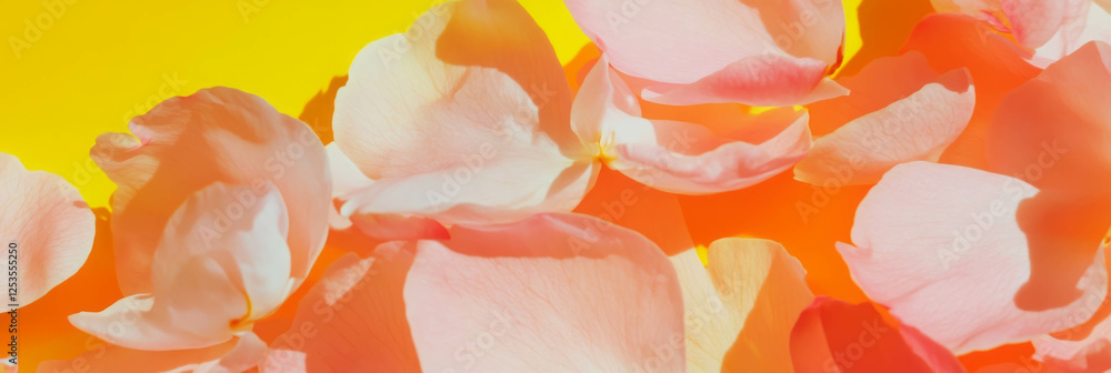 Poster scattered sakura petals create a vibrant texture against a sunny yellow background