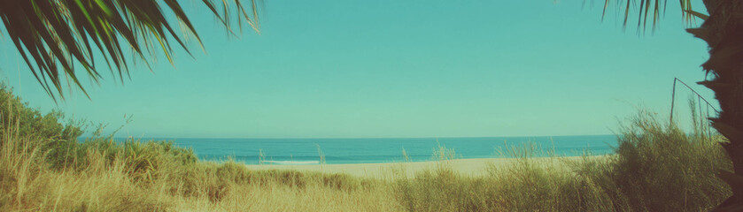View through palm fronds revealing serene ocean horizon at bright midday