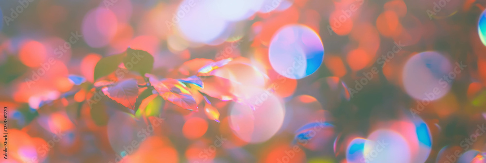 Poster vibrant autumn leaves with colorful bokeh background creating a serene atmosphere