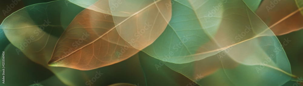 Poster blurred close-up of leaves capturing intricate veins and soft tones for a bright background