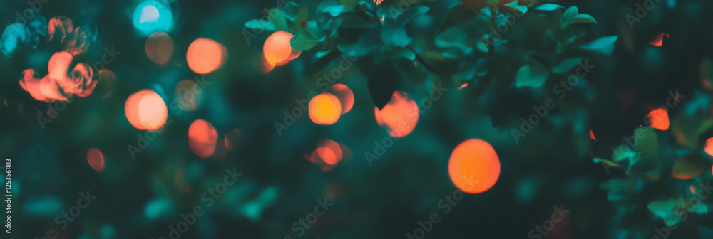 Poster soft bokeh highlights in a blurred night forest backdrop