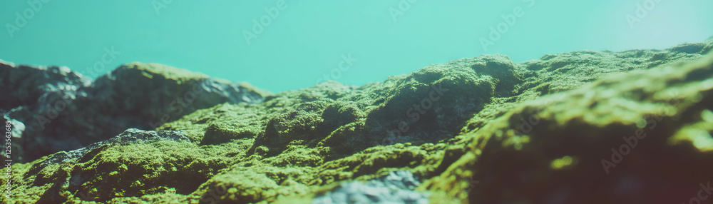 Fototapete Blurred texture of moss on rock with soft tones creating a serene background