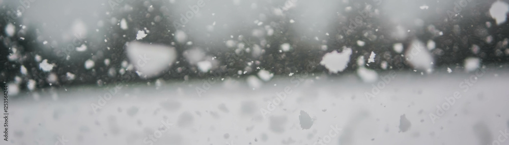 Poster blurred texture of snow falling in soft white and gray tones against a bright background