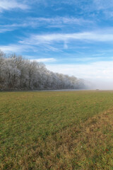 Fototapeta premium Winter field.