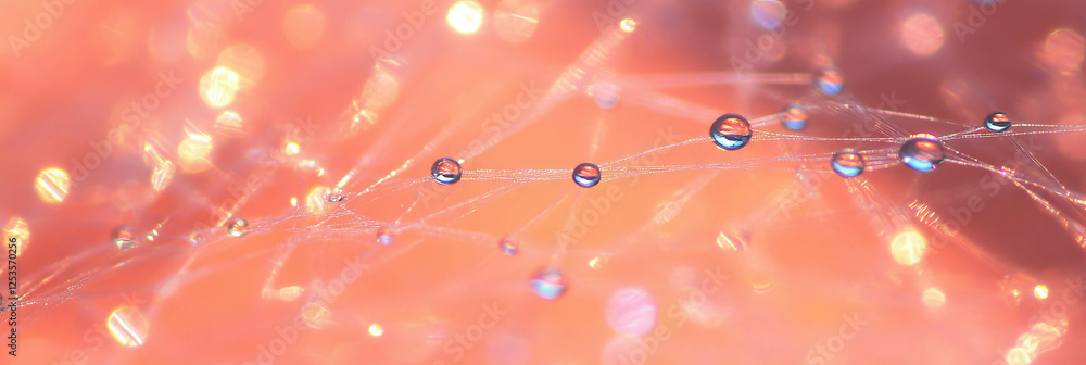 Poster Network of droplets connected by threads against a bright background