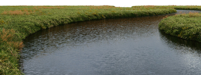 3d render of a stream with small plants on a transparent background.