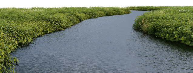 3d render of a stream with small plants on a transparent background.