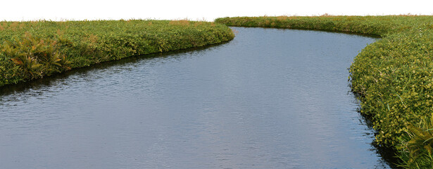3d render of a stream with small plants on a transparent background.