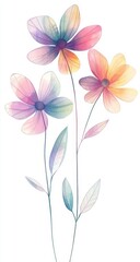 Delicate watercolor flowers, isolated on white, with soft pastel colors