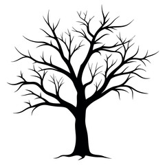 Obraz premium Bare tree branches vector illustration.