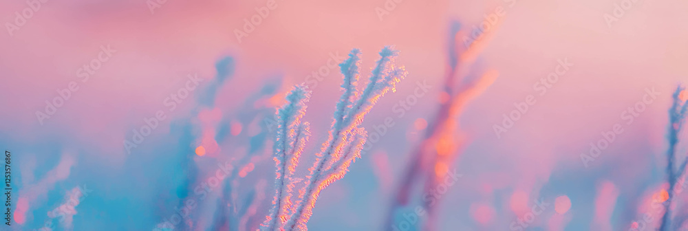 Poster Frozen fog creating abstract shapes and patterns in soft light on a serene morning