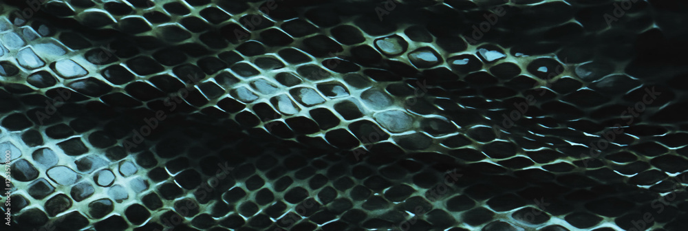 Poster Hand-drawn snake skin pattern showcases intricate texture and visual interest for creative designs