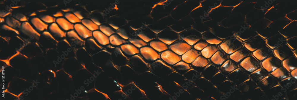 Poster hand-drawn snake skin featuring dynamic scales with varied texture for creative backgrounds