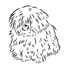 Minimalist puli dog logo design. Modern line art, vector, graphic, icon, illustration