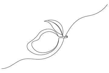 Mango fruit one line drawing and minimalist style isolate outline vector illustration