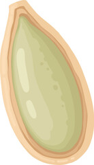 Cartoon seed. Organic raw sunflower seeds, pumpkin seeds and pine nuts, tasty snacks for vegetarian diet flat vector illustration icon. Delicious seed on white