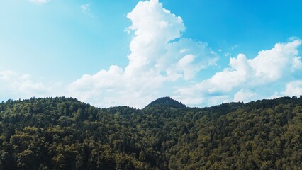 Scenic forest park in mountains, captured by drone in bright morning