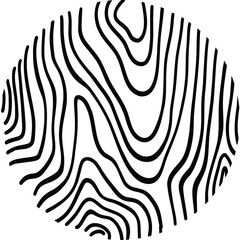 Wood line circle. Tree trunk cross section with topography rings, black and white timber log slices with contour sketch. Vector isolated icon on white