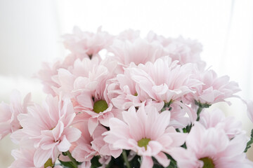 rose flowers bouquet  - macro with blur and depth