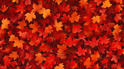 Fototapeta premium Maple leaves, autumn background template with flying and falling leaves, pattern of red and orange autumn leaves, isolated