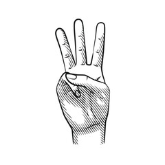 Vector Line Art Hand Gestures Showing Numbers 3. Isolated on White Background