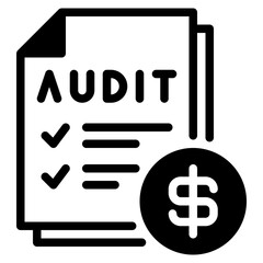 Professional Audit Checklist for Financial Reviews