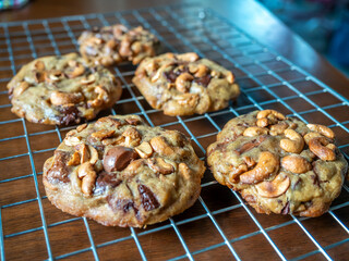 Home made big crunchy soft chocolate cookies with cashew nuts fresh baked on rack on wooden dining table