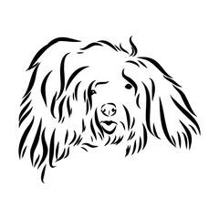 Minimalist puli dog logo design. Modern line art, vector, graphic, icon, illustration