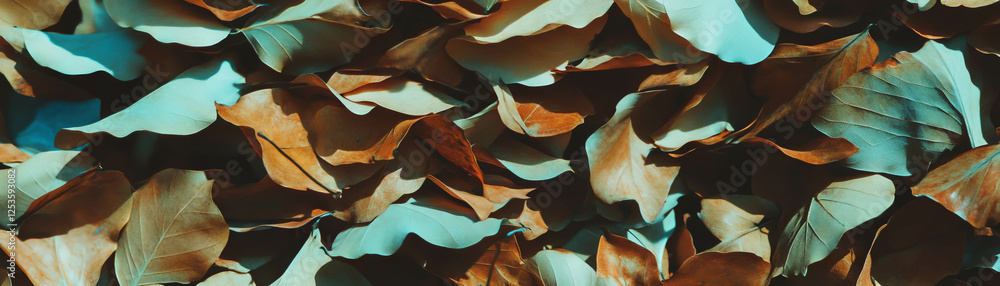 Poster Texture of dry leaves creating an intriguing layered background with soft shadows