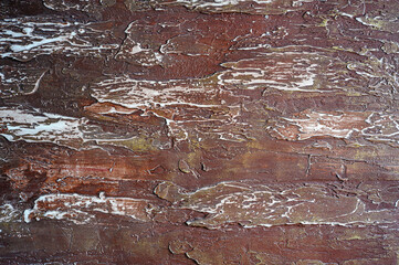 old wood texture