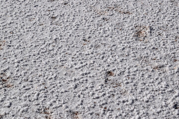 A detailed close-up of salt formations from a salt lake near Kalgoorlie, Western Australia, showcasing intricate textures and natural patterns.