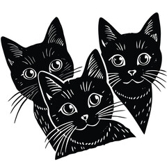 black and white cats