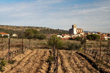 vineyard in roussillon Church of Baixas