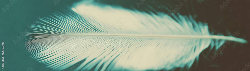 Poster texture and detail of a bird's feather captured in halftone effect against a grunge background