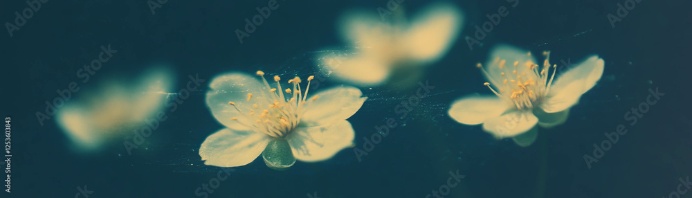 Aufkleber close up view of flower stamens covered in pollen with a halftone texture on a grunge background