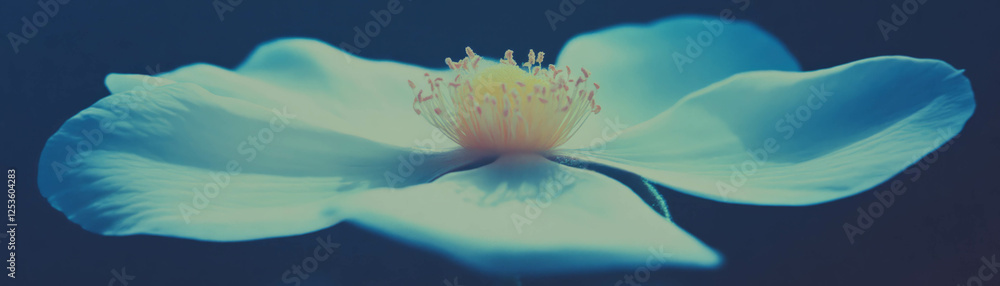 Poster close-up view of a flower's center highlighting pollen and stamens with halftone texture