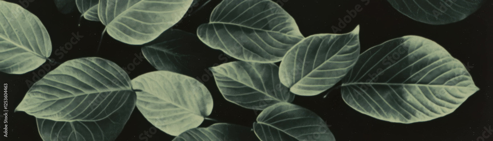 Poster close-up of dry leaves showcasing intricate veins and textures with halftone details