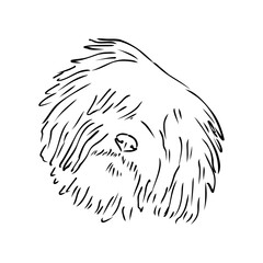 Minimalist puli dog logo design. Modern line art, vector, graphic, icon, illustration