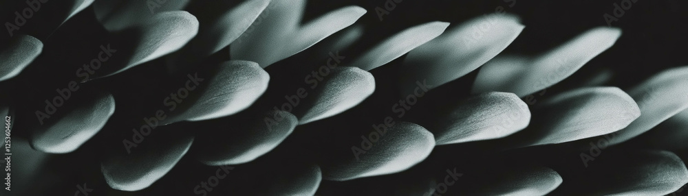 Poster close-up view of a detailed pine cone showcasing halftone dot texture
