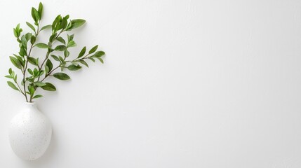 Simple vase with sprigs on white background. Decorative still life.  Possible use  design inspiration
