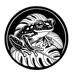 Cute Red Eyed Tree Frog Agalychnis Callidryas