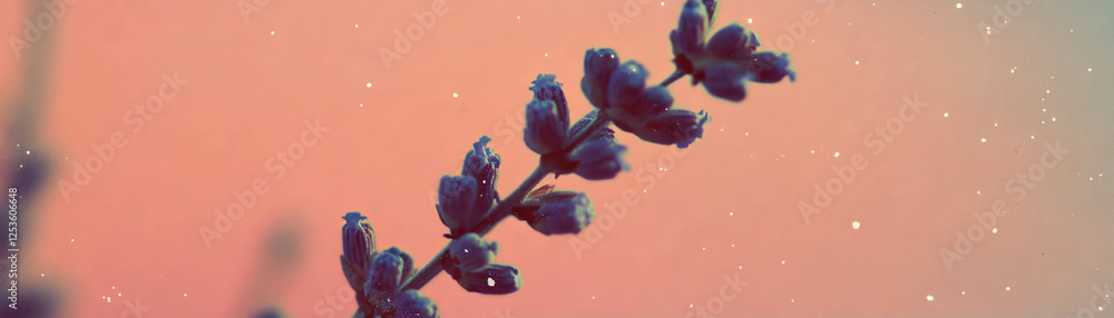 Poster captivating cluster of lavender flowers with halftone texture on a grunge background