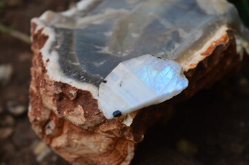 Moonstone specimen mineral on collection
