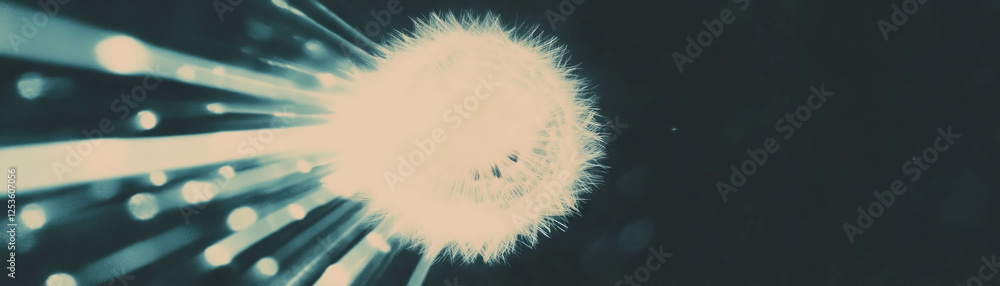 Poster dandelion seed head with delicate seeds in halftone texture against a grunge background