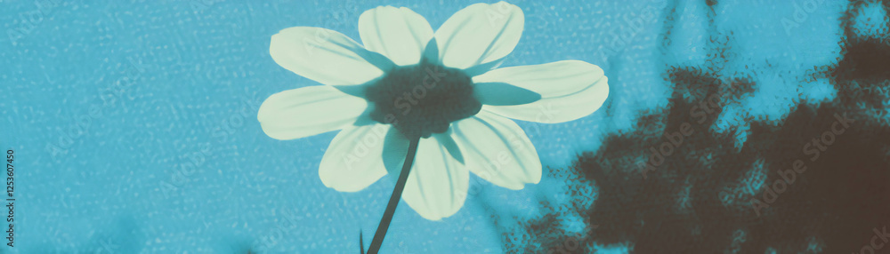 Poster unique flower casting shadow on textured background with halftone effect